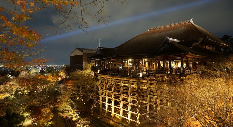 Tour del cuore del Giappone nel porto di Kobe, Osaka, Kyoto e Nara