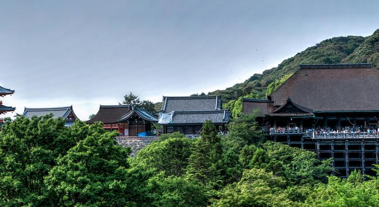 Erleben Sie Kyoto und Nara: Wo Tradition auf Wunder trifft