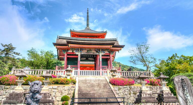 Erleben Sie Kyoto und Nara: Wo Tradition auf Wunder trifft
