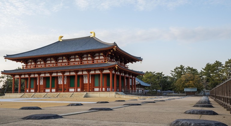 Explore los templos y tesoros ocultos de Nara