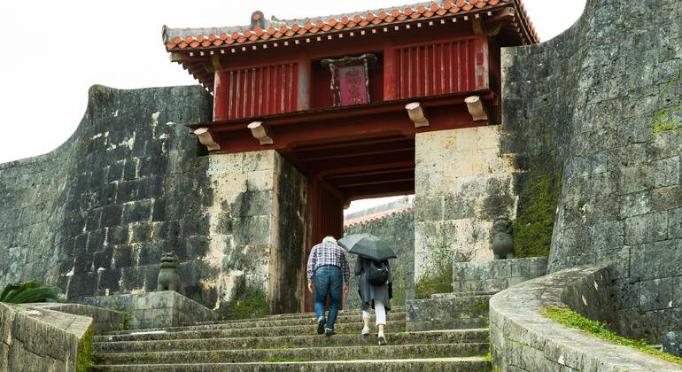 Okinawa Strand, Natur & Essen Tour