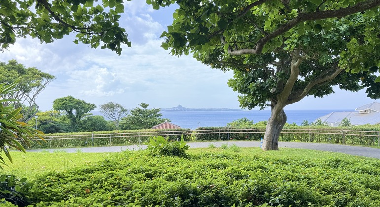Okinawa Strand, Natur & Essen Tour