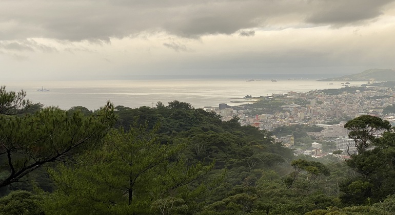 Okinawa Strand, Natur & Essen Tour