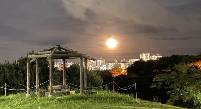Okinawa Strand, Natur & Essen Tour