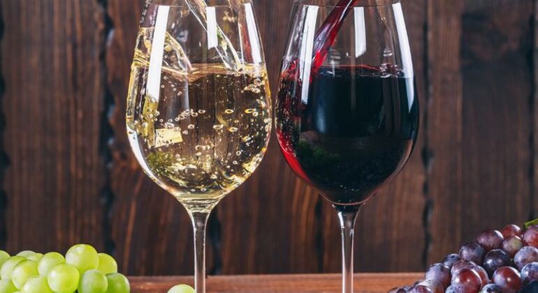 Albanian Wine Tasting Experience