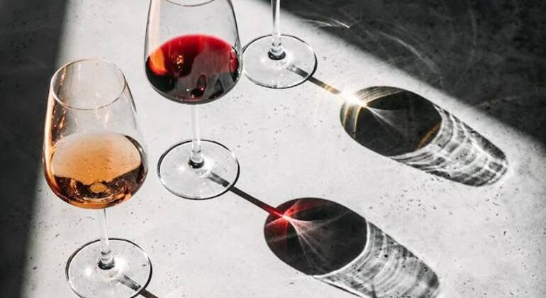 Albanian Wine Tasting Experience