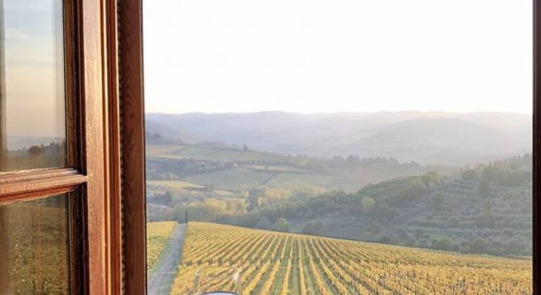 Albanian Wine Tasting Experience