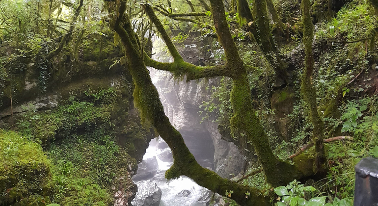 Martvili Canyon & Prometheus Caves Tour from Kutaisi