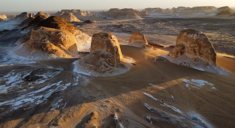 Safari nel deserto bianco