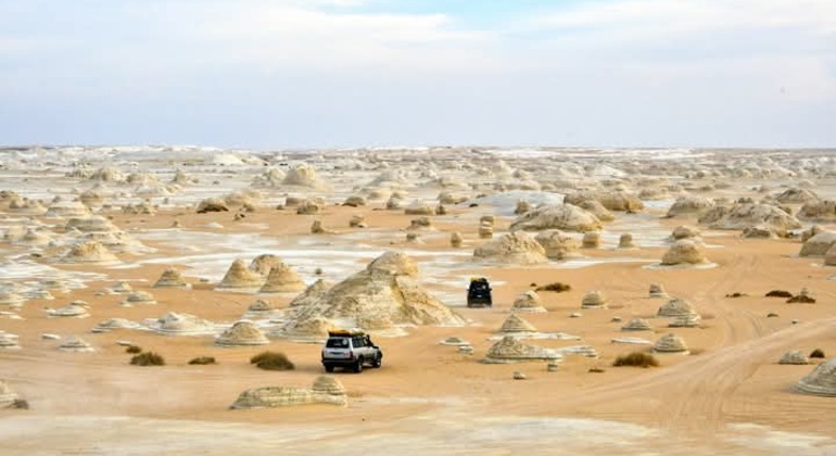 Safari nel deserto bianco