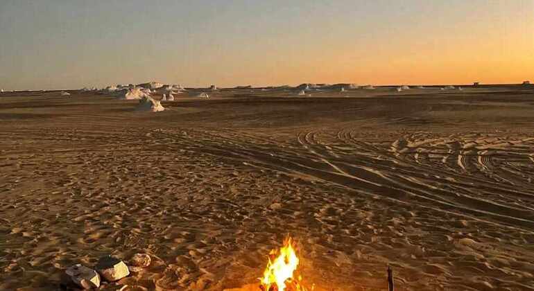 Safari nel deserto bianco
