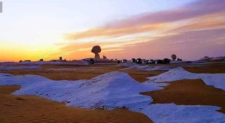 Safari nel deserto bianco