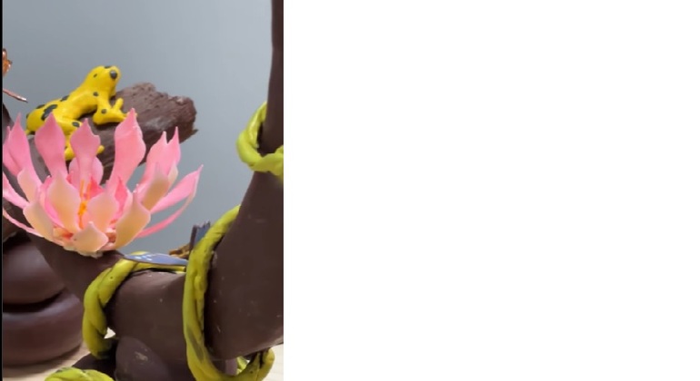 Choco Geisha Panama Tour