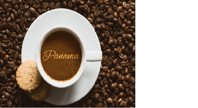 Choco Geisha Panama Tour