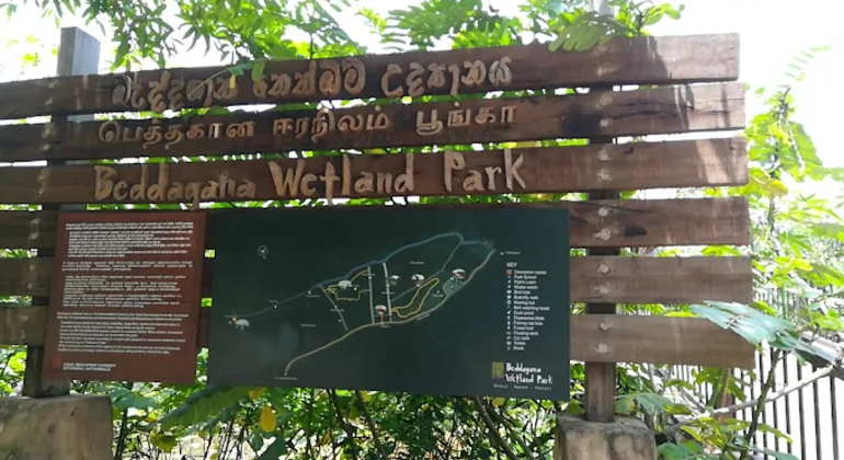 Urban Wetland Nature Walk