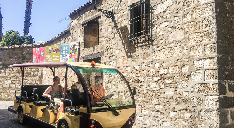 Panoramic Electric Bus Tour of Baeza
