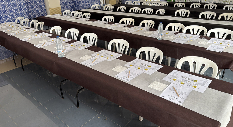 Olive Tree Route: Museum and Olive Oil Tasting Workshop