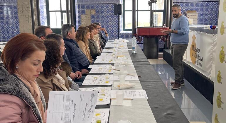Olive Tree Route: Museum and Olive Oil Tasting Workshop