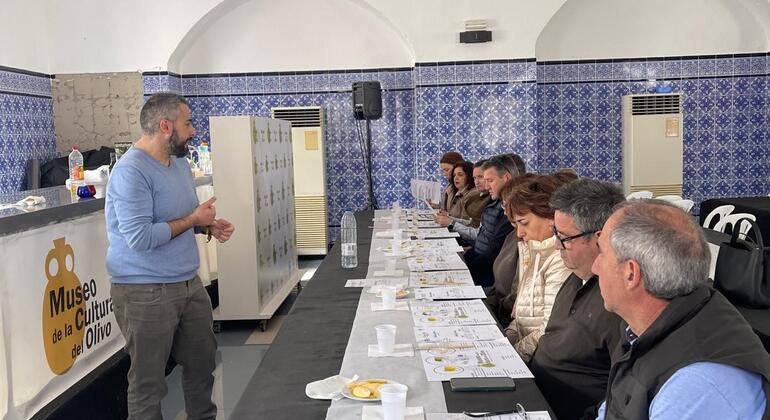 Olive Tree Route: Museum and Olive Oil Tasting Workshop