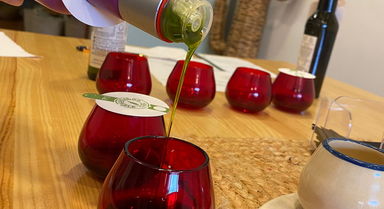 Discover the Secrets of Olive Oil