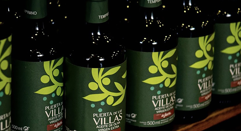 Discover the Secrets of Olive Oil