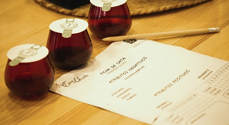 Discover the Secrets of Olive Oil