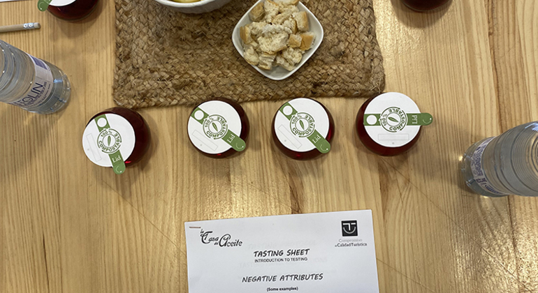 Discover the Secrets of Olive Oil