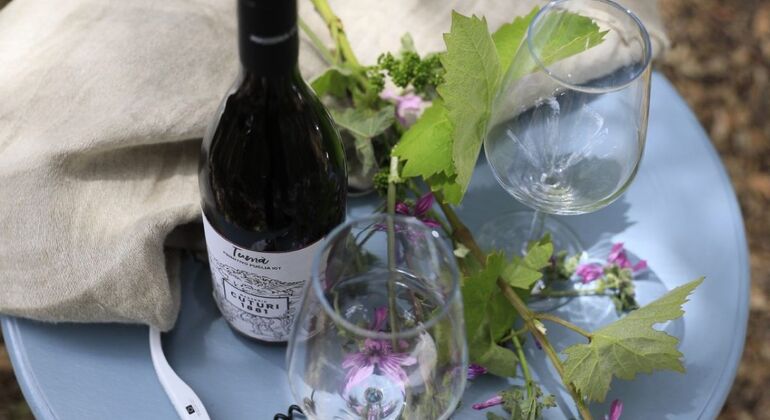 Tour della storia di Taranto e degustazione di vini da Lecce