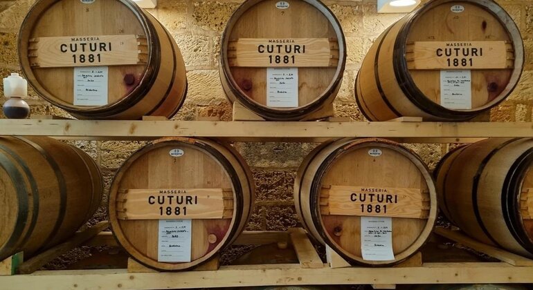 Taranto History & Wine Tasting Tour from Lecce