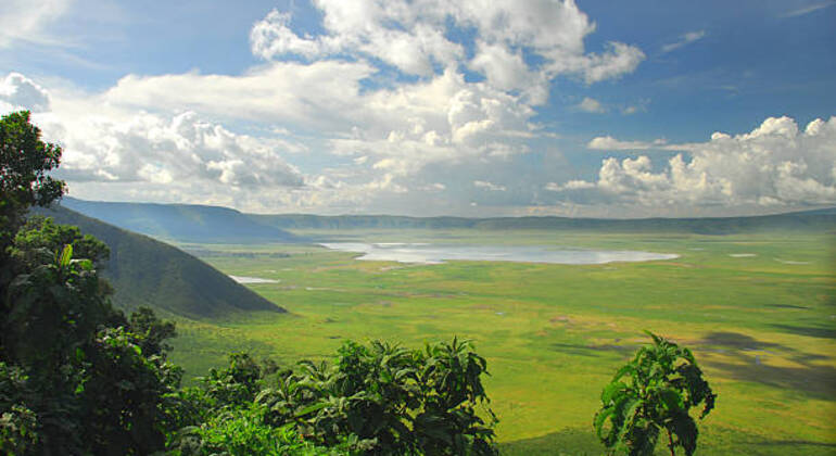Explorar a cratera de Ngorongoro num dia