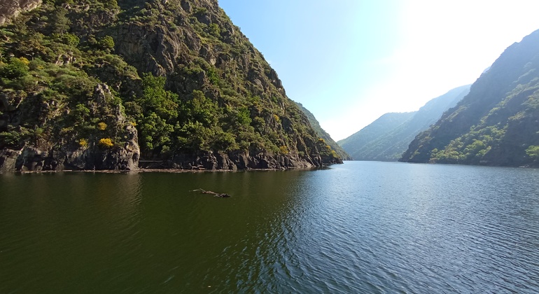 Explore Ribeira Sacra and Ourense: Nature and Culture
