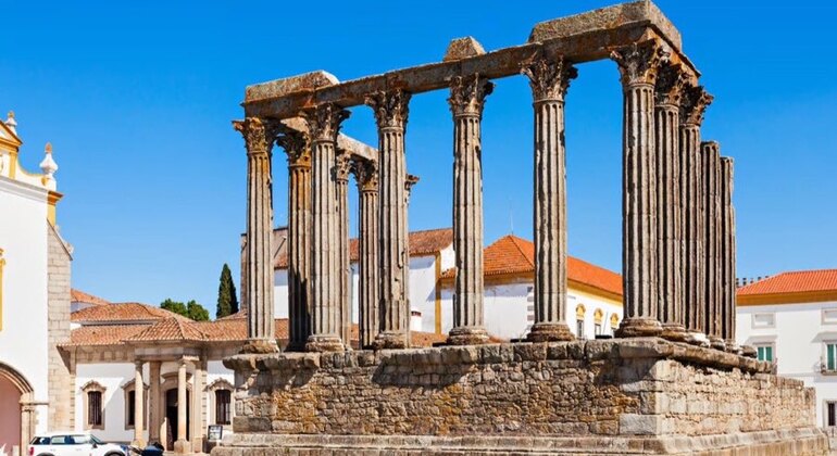 Excursión privada de un día a Évora y el Alentejo para descubrir el vino y la historia, con salida desde Lisboa