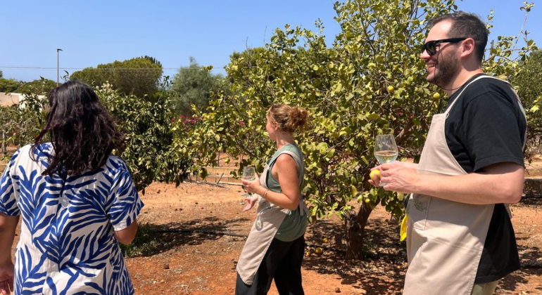 Privater sizilianischer Kochkurs in Marsala
