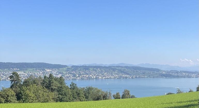 Zurich Cruise Party & Hilltop Photo Shoot Free