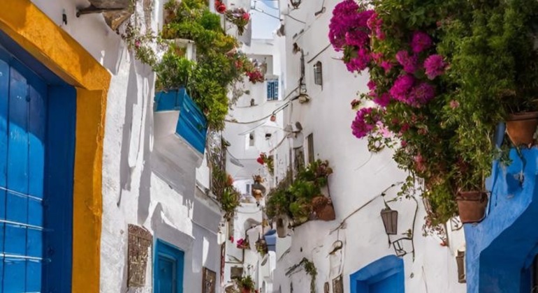 Tánger y Asilah La magia del norte de Marruecos en un día