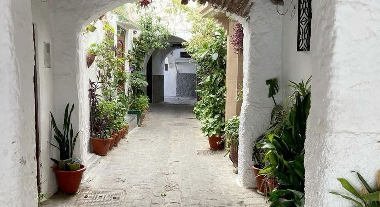 Excursión privada a Tetuán, lugar declarado Patrimonio de la Humanidad por la UNESCO