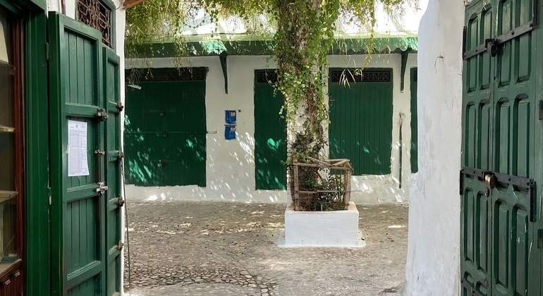 Excursión privada a Tetuán, lugar declarado Patrimonio de la Humanidad por la UNESCO
