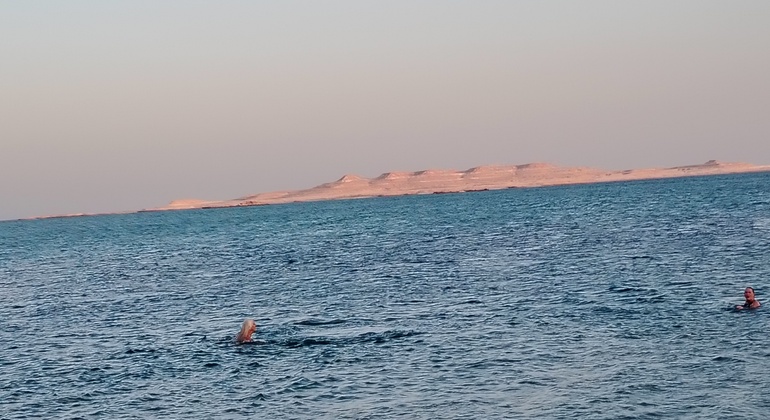 Katar Zwischenstopp Wüstensafari: Sonnenaufgang bis Sonnenuntergang & Schwimmen