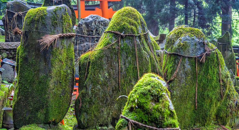 Audio Guide App: Kyoto, Fushimi Inari Taisha Rundgang