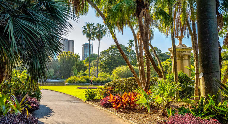 App di audioguida: Passeggiata nella città di Sydney
