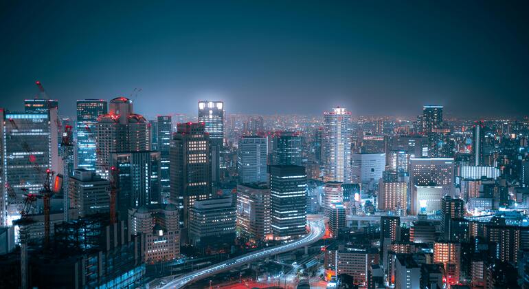 Tour notturno a piedi di Osaka