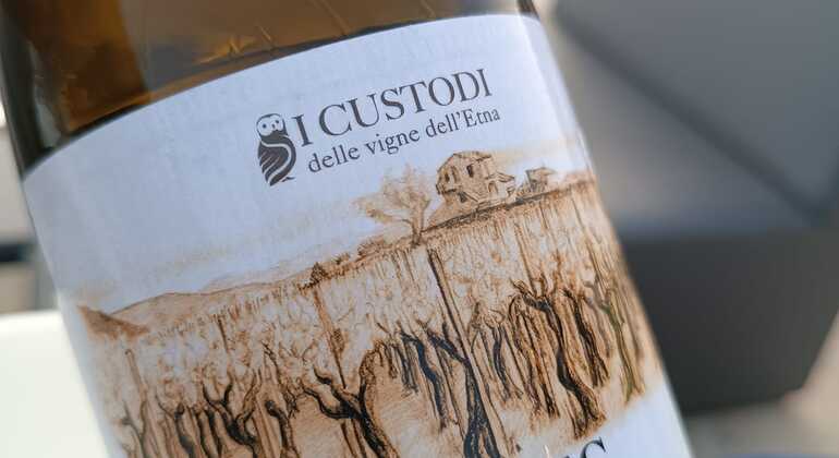 Cefalu: Gehobenes Essen & Wein Pairing Erlebnis