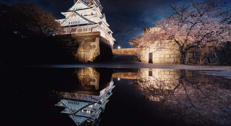 Tour a piedi dei punti salienti del castello di Osaka