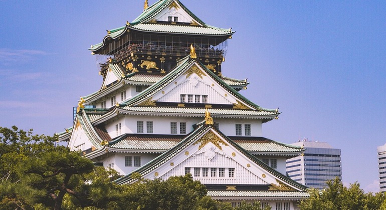 Tour a piedi dei punti salienti del castello di Osaka