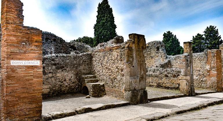Geführter Besuch der Ruinen von Pompeji