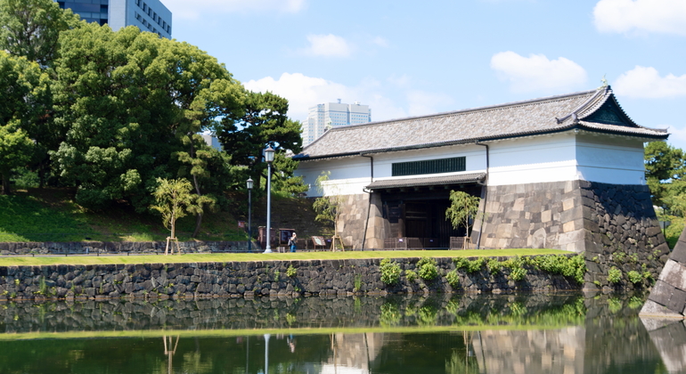 Visite guidée de Tokyo : culture d'Edo et jardins du château