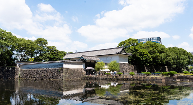 Visite guidée de Tokyo : culture d'Edo et jardins du château