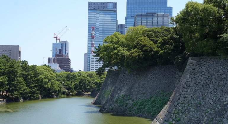 Visite guidée de Tokyo : culture d'Edo et jardins du château