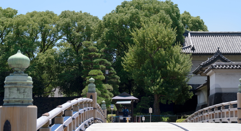 Visite guidée de Tokyo : culture d'Edo et jardins du château