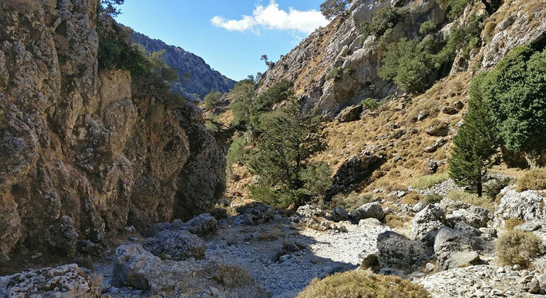 Avventura alle Gole di Imbros da Chania